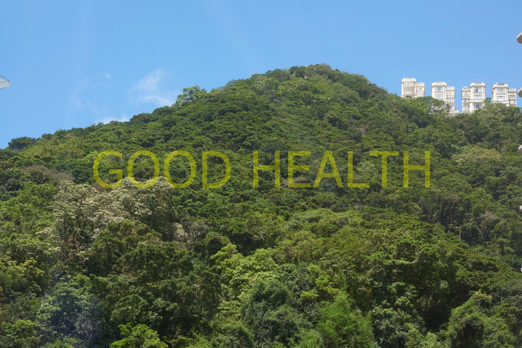 Good Health, 2021.  Digital Photo