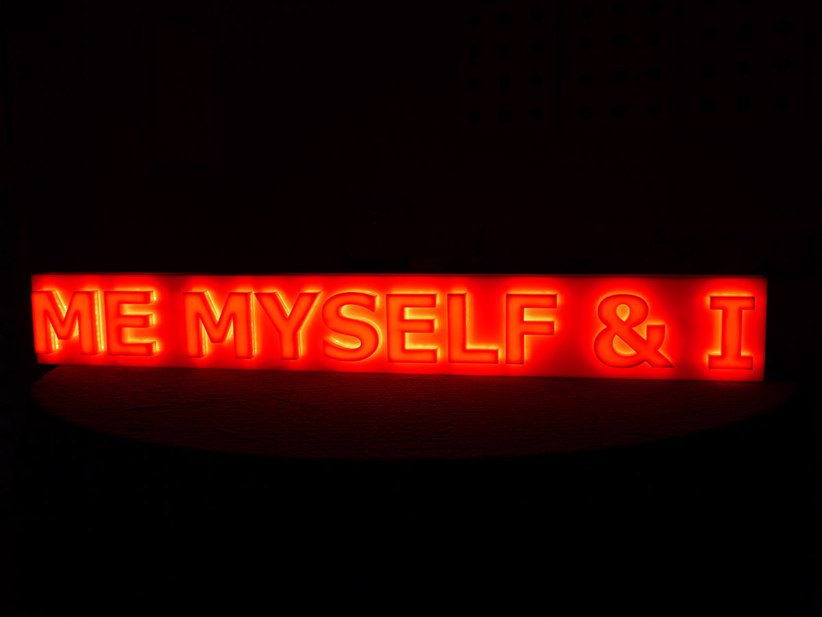 Me Myself & I, 2013 Acrylic and LED lights 14 x 108 x 7.5 cm